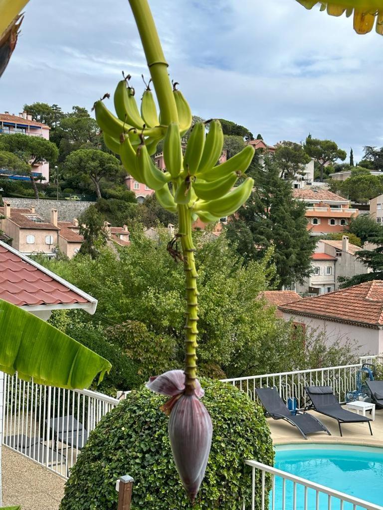 Hotel La Fiancee Du Pirate Βιλφράνς-συρ-Μερ Εξωτερικό φωτογραφία